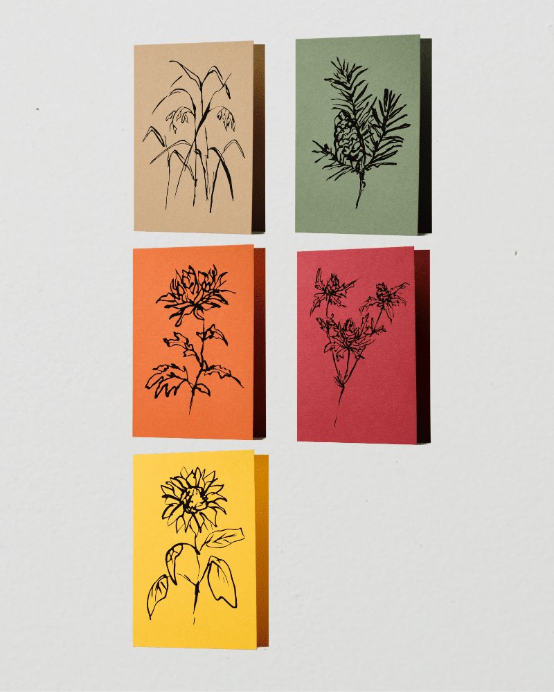 Greetings card | Lucy Auge Atelier Auge Bundle of five 