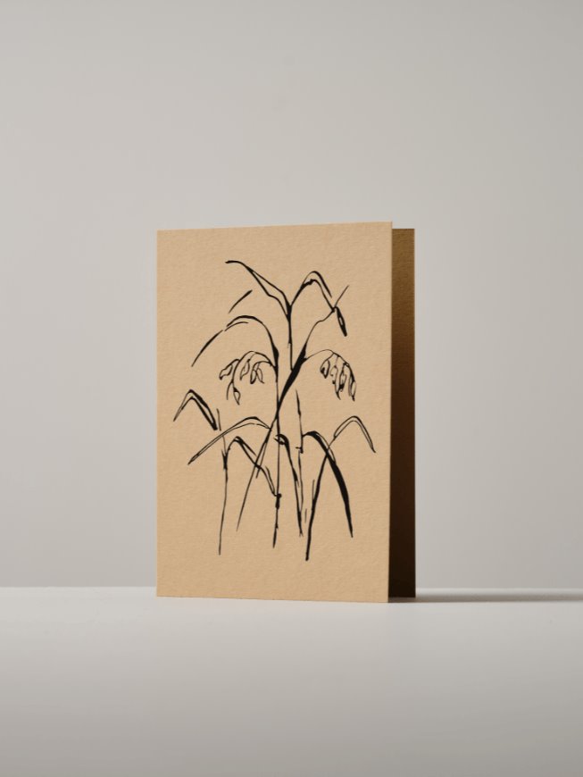 Greetings card | botanical Atelier Auge Bunny tail grass | oat 