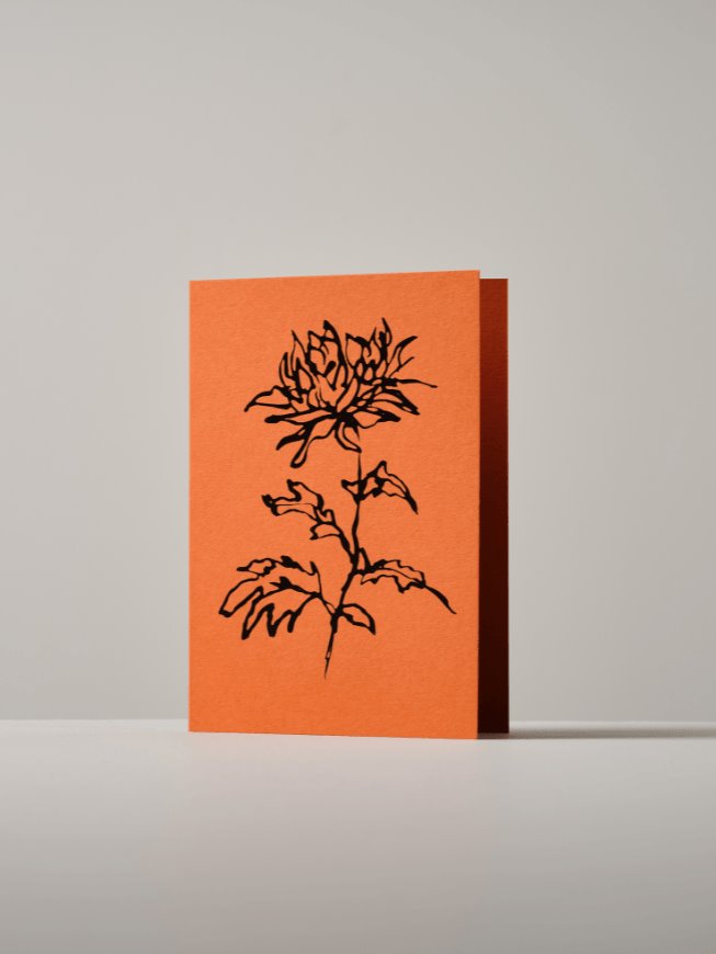 Greetings card | botanical Atelier Auge Chrysanthemum | orange 