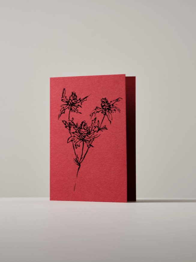 Greetings card | botanical Atelier Auge Thistle | red 