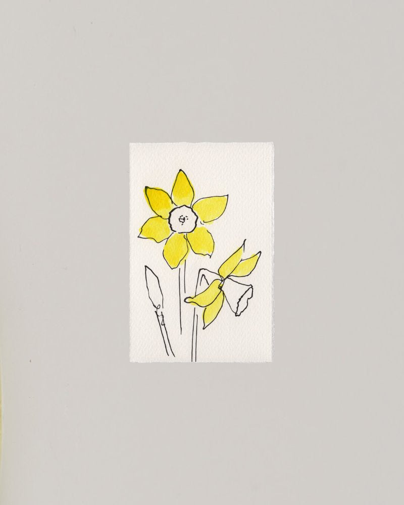 Hand-painted greetings card | Daffodil Gift Cards Scribble & Daub 